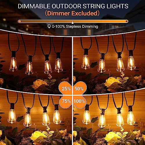 100FT LED string lights with dimmable Edison bulbs