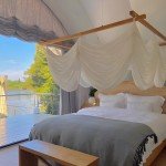 Shell-Shaped Tent for Luxurious Outdoor Glamping