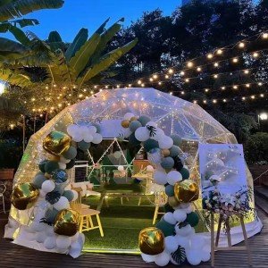 Transparent Geodesic Dome Tent for Glamping