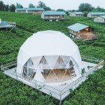 Luxury Transparent Geodesic Dome Camping Tent