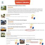 Eco-Friendly Heated Geodesic Dome Tent for Glamping