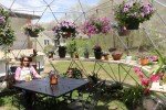 16 ft Geodesic Dome Greenhouse with Vinyl Cover