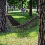 Thickened Canvas Hammock for Garden and Camping