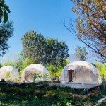 Luxury Geodome Tent for Glamping and Camping