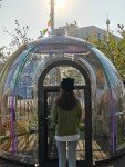 Clear Starry Dome Tent for Events and Camping