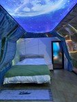 Clear Starry Dome Tent for Events and Camping