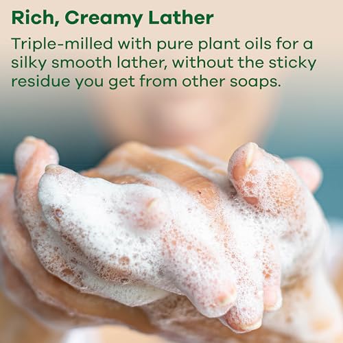 Lavender Botanical Soap Bars, Shea Butter Enriched-Pack of 8