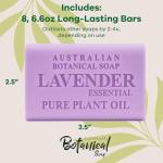 Lavender Botanical Soap Bars, Shea Butter Enriched-Pack of 8