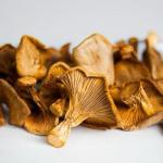 Premium Grade 2oz Dried Chanterelle Mushrooms for Home