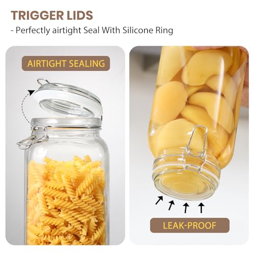 Large Glass Food Storage Jars, 3 Pack Square