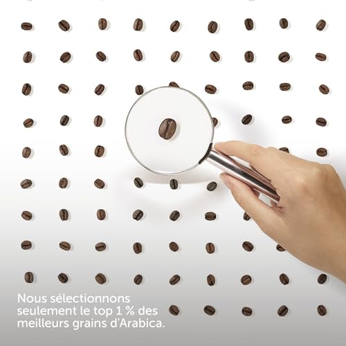 Illy Forte Espresso Coffee Capsules - 100 total