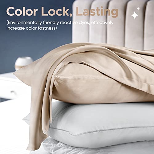 Mulberry Silk Pillowcase - Allergen Resistant, Dual Sided