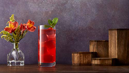 JoyJolt Faye Highball Glasses Set - Lead-Free Crystal