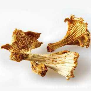 Premium Grade 2oz Dried Chanterelle Mushrooms for Home