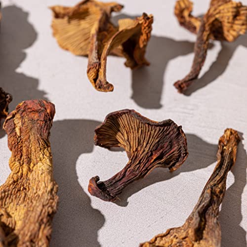 Dried Chanterelle Mushrooms - Whole for Cooking - 2oz