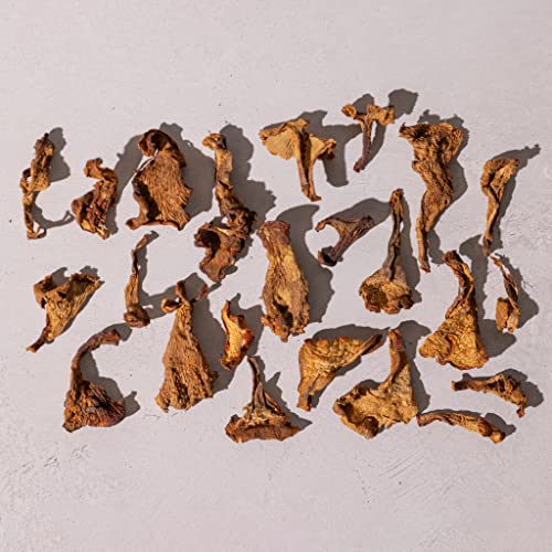 Dried Chanterelle Mushrooms - Whole for Cooking - 2oz