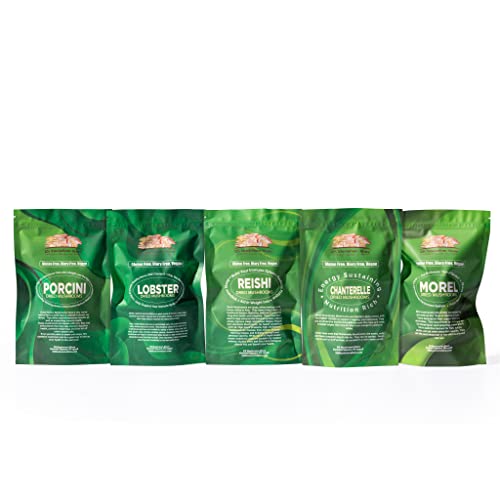 Dried Chanterelle Mushrooms - Whole for Cooking - 2oz