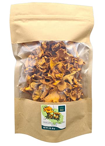 Dried Chanterelle Mushrooms, 3 oz - Forest Food
