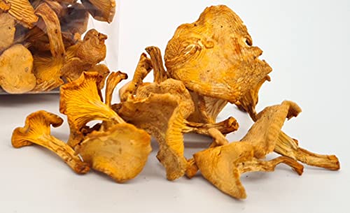 Chanterelle Mushrooms Powder Dried, 3 Ounce, Forest-themed