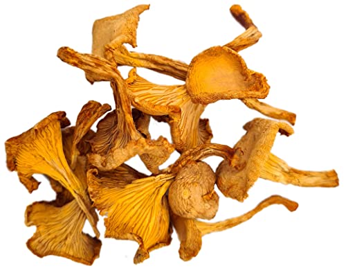 Dried Chanterelle Mushrooms, 3 oz - Forest Food