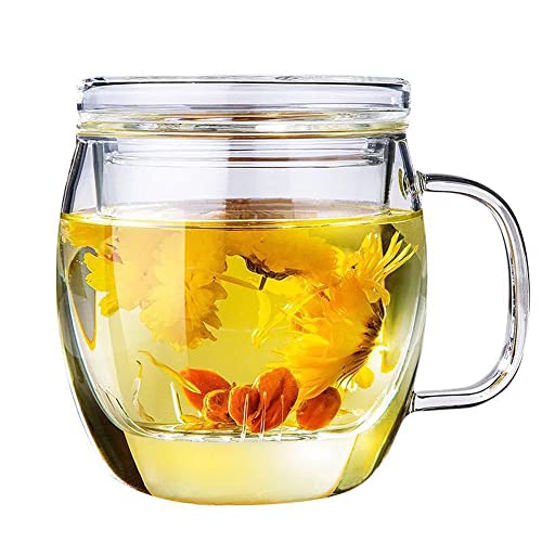 Glass Tea Cup with Infuser, Lid, 500ml - Loose Leaf Tea