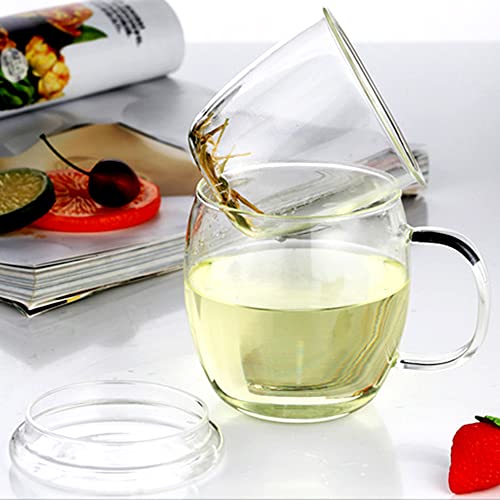 Glass Tea Cup with Infuser, Lid, 500ml - Loose Leaf Tea