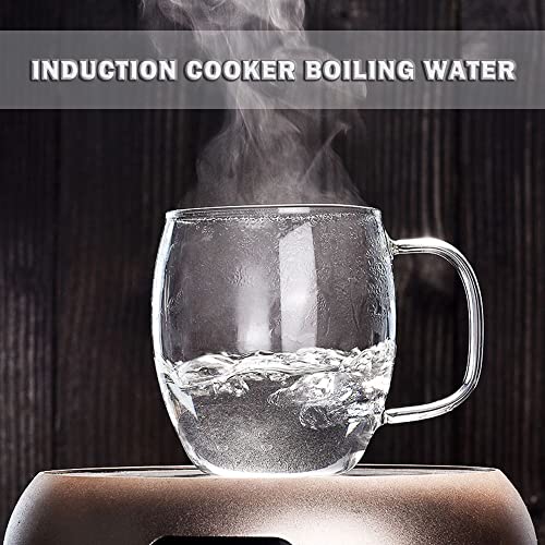 Glass Tea Cup with Infuser, Lid, 500ml - Loose Leaf Tea