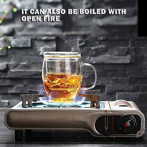 Glass Tea Cup with Infuser, Lid, 500ml - Loose Leaf Tea