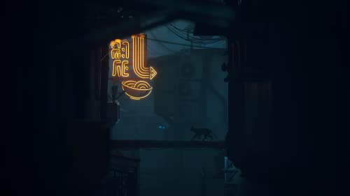 Stray Game for PS5 Console