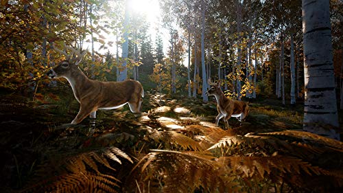 Hunting Simulator 2 for PS5 - PlayStation 5