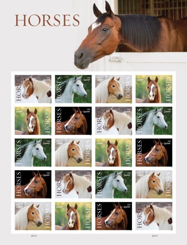 US #5891a-5a 5895c Horses Imperf Sheet Pane of 20 without die cuts NDC 2024
