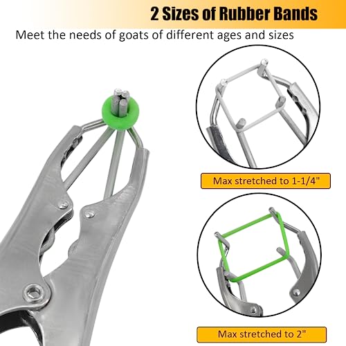 Stainless Steel Goat Banding Kit with Ring Installation Tool