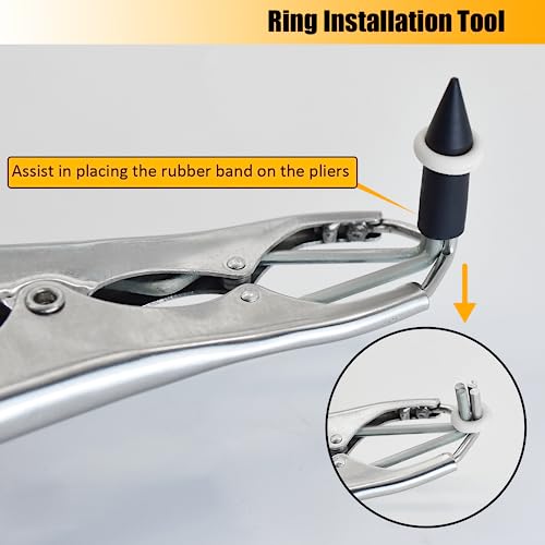 Stainless Steel Goat Banding Kit with Ring Installation Tool