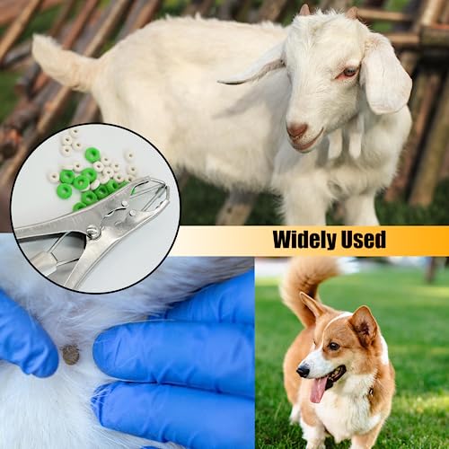Stainless Steel Goat Banding Kit with Ring Installation Tool