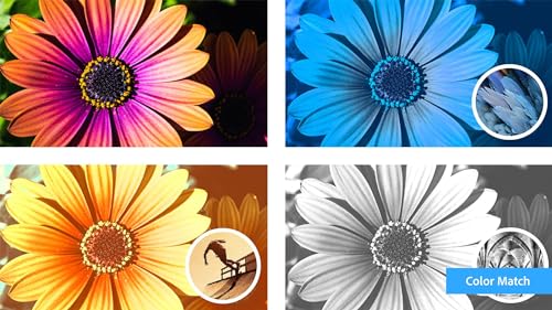 Adobe | Photoshop Elements 2024 | Windows PC Code | Software Download | Photo Editing [PC Online code]