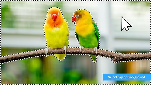 Adobe | Photoshop Elements 2024 | Windows PC Code | Software Download | Photo Editing [PC Online code]