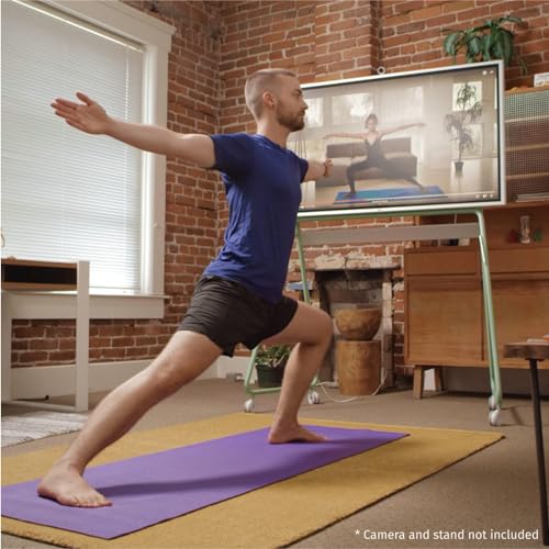 Vibe S1 55″ Smart Board, 55 Inch Interactive Display, 4K UHD Touch Screen All-in-One Computer for Office and Classroom with Chrome OS & Open App Ecosystem (Board Only)