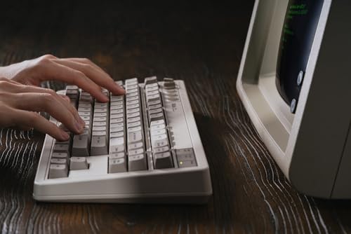 8BitDo Retro Mechanical Keyboard, Bluetooth/2.4G/USB-C Hot Swappable Gaming Keyboard with 87 Keys, Dual Super Programmable Buttons for Windows and Android - M Edition