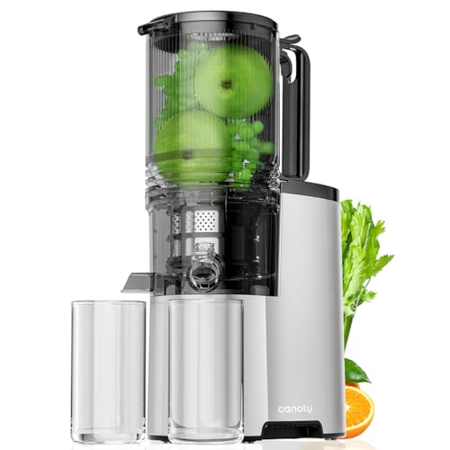Cold Press Juicer, 5.3" Extra Large Feed Chute Fit Whole Fruits & Vegetables, 350W Professional Slow Masticating Juicer Machines, Easy to Clean