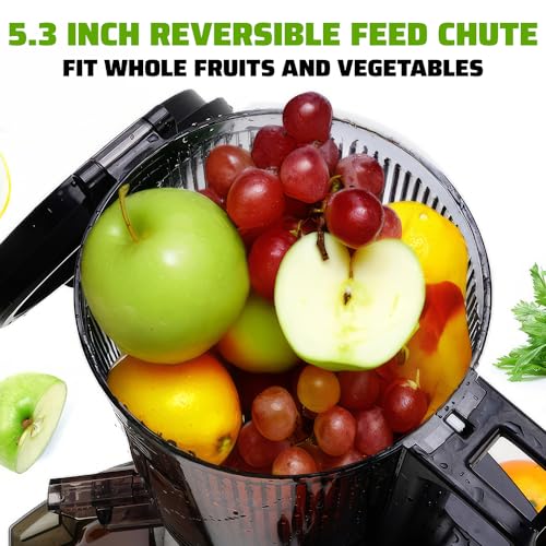 Cold Press Juicer, 5.3" Extra Large Feed Chute Fit Whole Fruits & Vegetables, 350W Professional Slow Masticating Juicer Machines, Easy to Clean