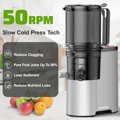 Cold Press Juicer, 5.3" Extra Large Feed Chute Fit Whole Fruits & Vegetables, 350W Professional Slow Masticating Juicer Machines, Easy to Clean