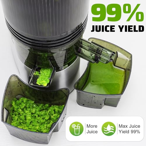 Cold Press Juicer, 5.3" Extra Large Feed Chute Fit Whole Fruits & Vegetables, 350W Professional Slow Masticating Juicer Machines, Easy to Clean