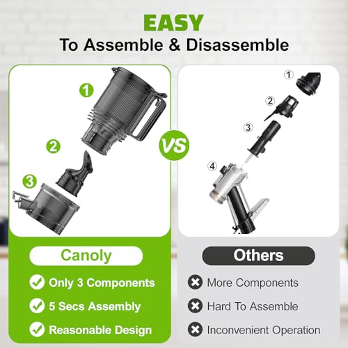 Cold Press Juicer, 5.3" Extra Large Feed Chute Fit Whole Fruits & Vegetables, 350W Professional Slow Masticating Juicer Machines, Easy to Clean