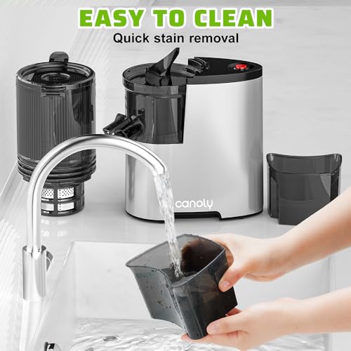 Cold Press Juicer, 5.3" Extra Large Feed Chute Fit Whole Fruits & Vegetables, 350W Professional Slow Masticating Juicer Machines, Easy to Clean