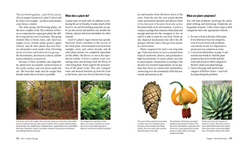 What's Wrong With My Plant? (And How Do I Fix It?): A Visual Guide to Easy Diagnosis and Organic Remedies (What’s Wrong Series)