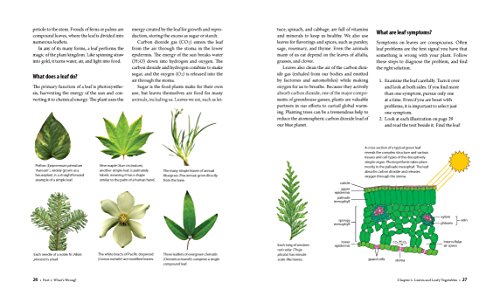 What's Wrong With My Plant? (And How Do I Fix It?): A Visual Guide to Easy Diagnosis and Organic Remedies (What’s Wrong Series)