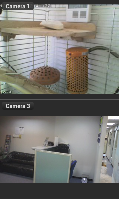 Viewer for Swann IP cameras