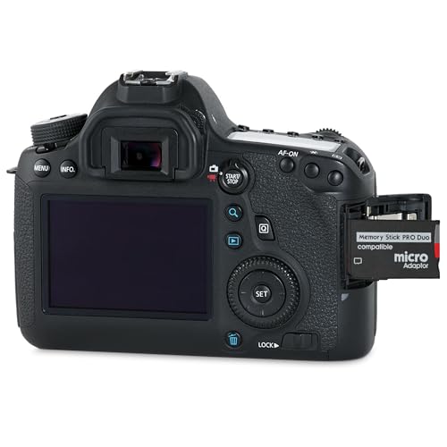 Skywin Memory Stick Pro Duo Adapter - Card Reader for PSP Memory Card Duo Adapter, Easy-to-Use Card Holder Compatible with Playstation Card, Camera, or Handycam