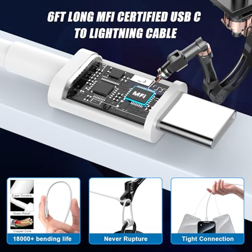 USB C Car Charger Adapter, 40W Dual USB C Car Charger Cigarette Lighter with 2 Pack Type C to C Fast Charging Cable for iPhone 15/15 Plus/15 Pro/15 Pro Max, Galaxy S24/S23/S22/S21, iPad Pro/Air/Mini