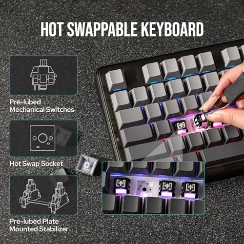EPOMAKER x Aula F87 Pro Wireless Gasket Mechanical Keyboard, TKL 3 Modes(Bluetooth/2.4ghz Wireless/Tpye-C) Gaming Keyboard, Hot Swappable, Side Printed PBT Keycaps (Black Grey, Graywood V4 Switch)